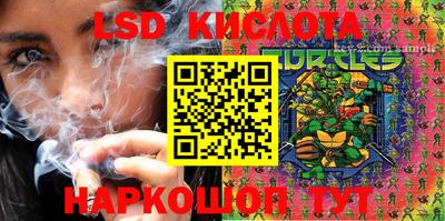 ECSTASY Гусь-Хрустальный