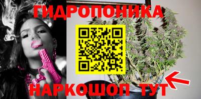 ECSTASY Гусь-Хрустальный