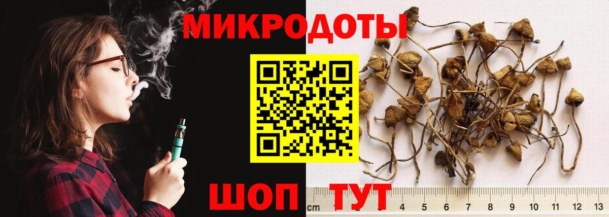 Галлюциногенные грибы мицелий Набережные Челны
